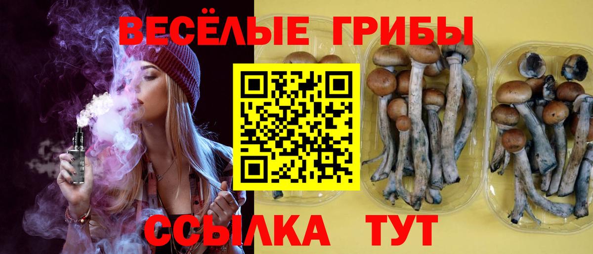 Галлюциногенные грибы Magic Shrooms  Вход с VPN  Среднеуральск 