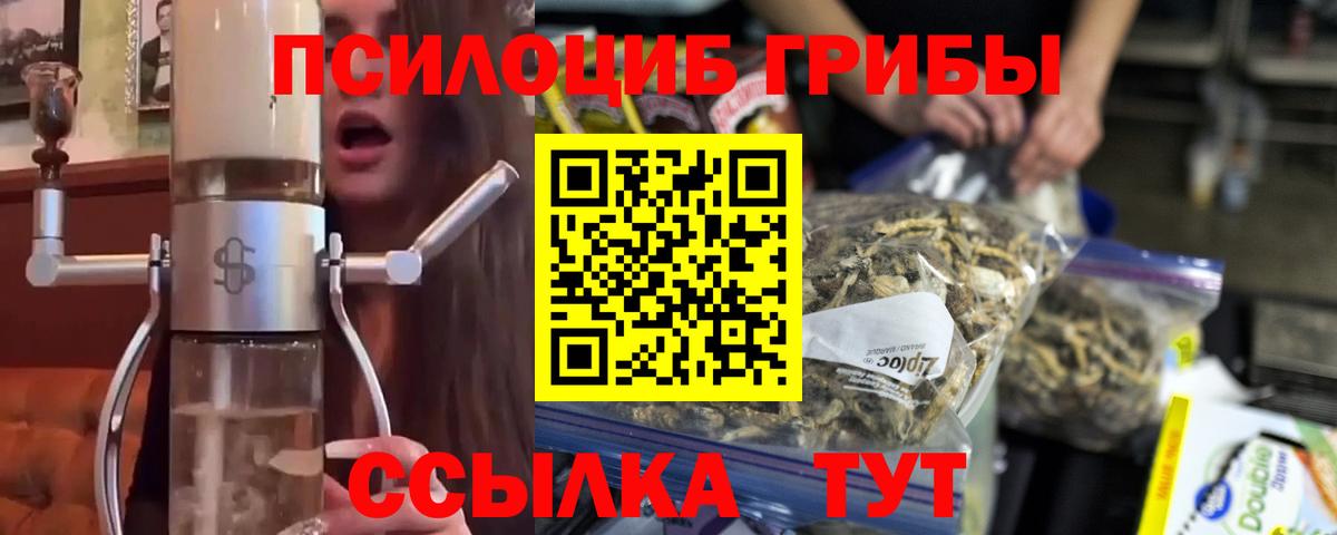 Галлюциногенные грибы Psilocybe Среднеуральск