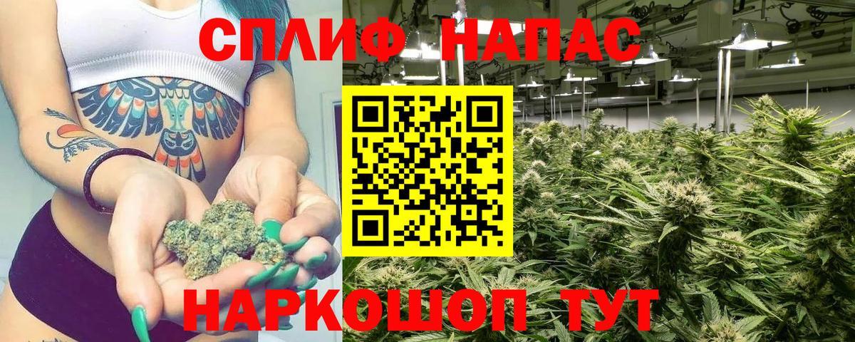Конопля гибрид Среднеуральск